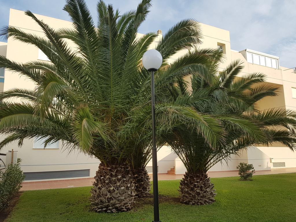 Appartement Alondras Playa Dénia Extérieur photo